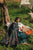 SR-SP2565 Unstitched Embroidered Lawn 3pc Suit With Poly Lawn Dupatta